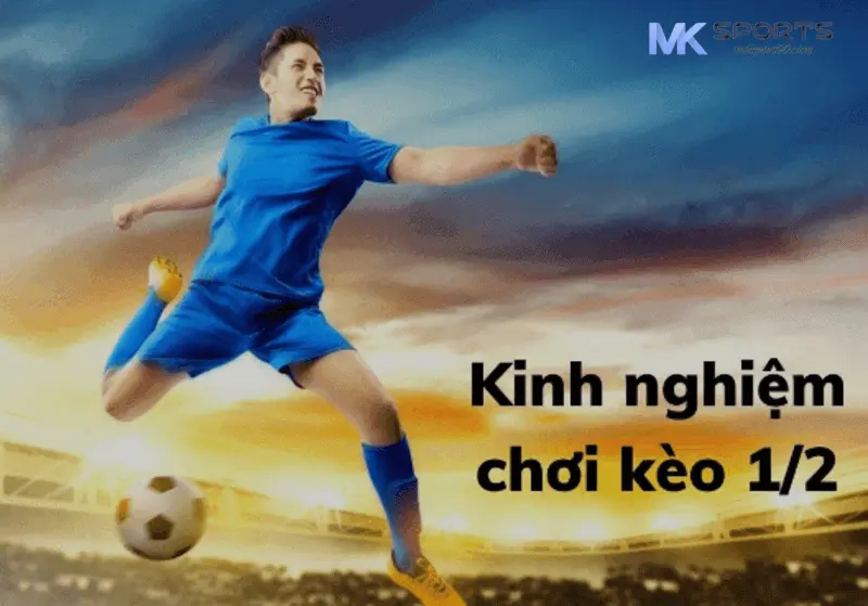 Các Kinh Nghiệm Cá Cược Kèo 1/2 Dành Cho Tân Thủ Mksport