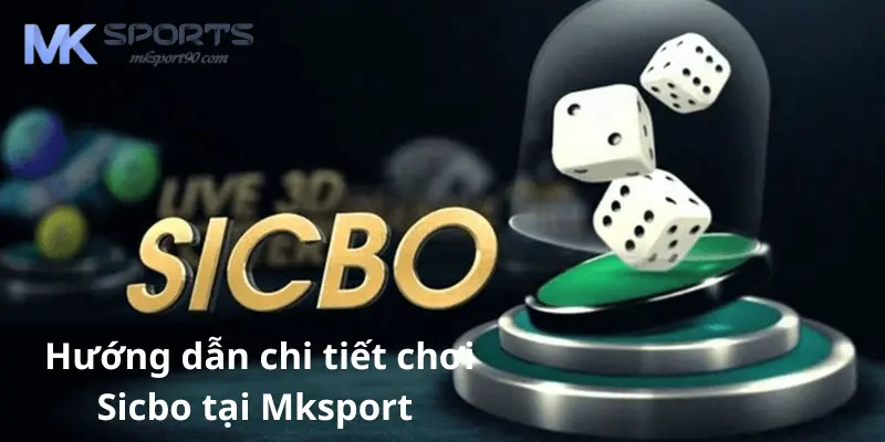 Hướng dẫn chi tiết cách làm chủ game Sicbo tại Mksport